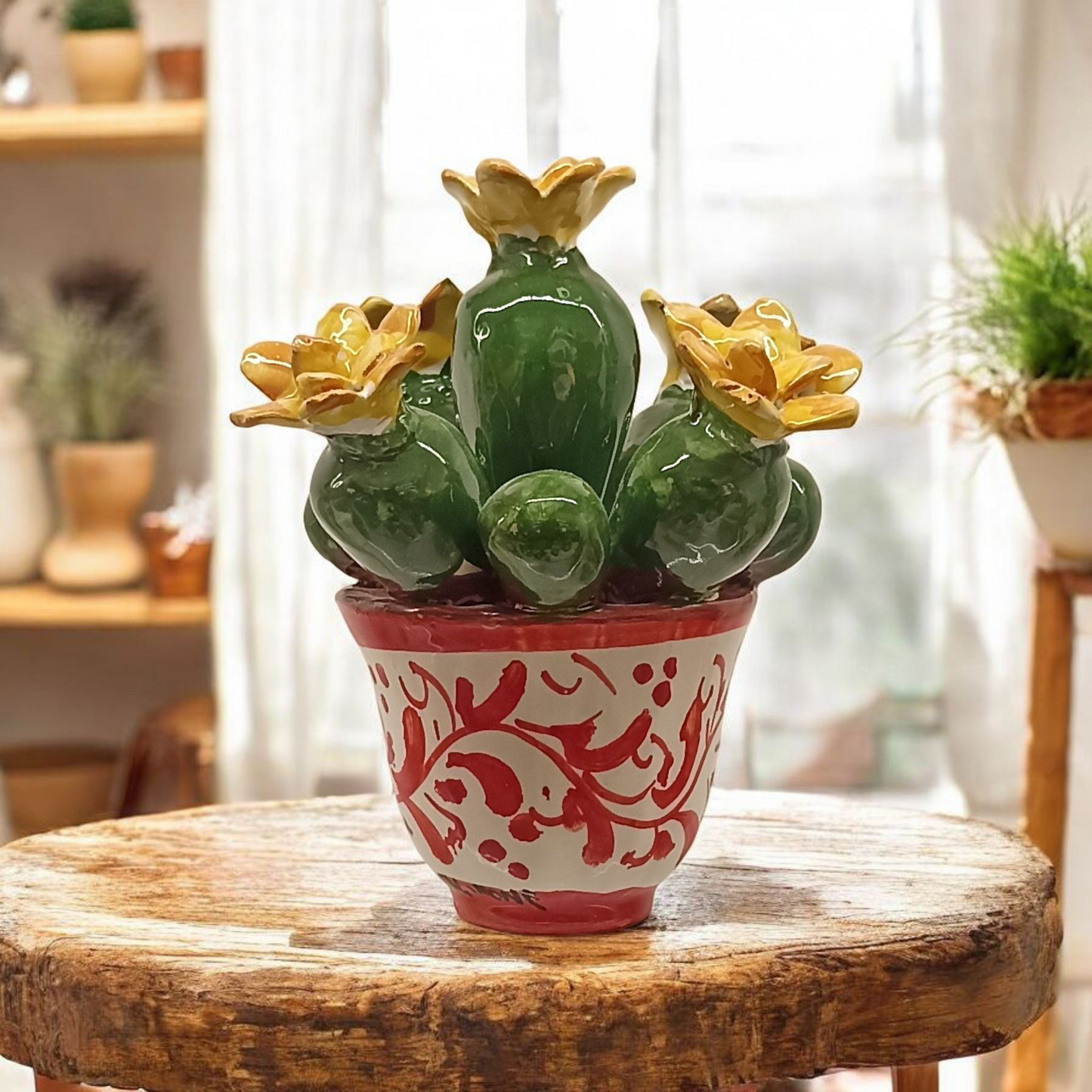 piantina cactus