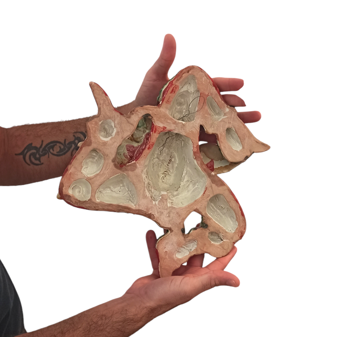 Medusa in ceramica di caltagirone fatta a mano da Salvatore Guzzardi