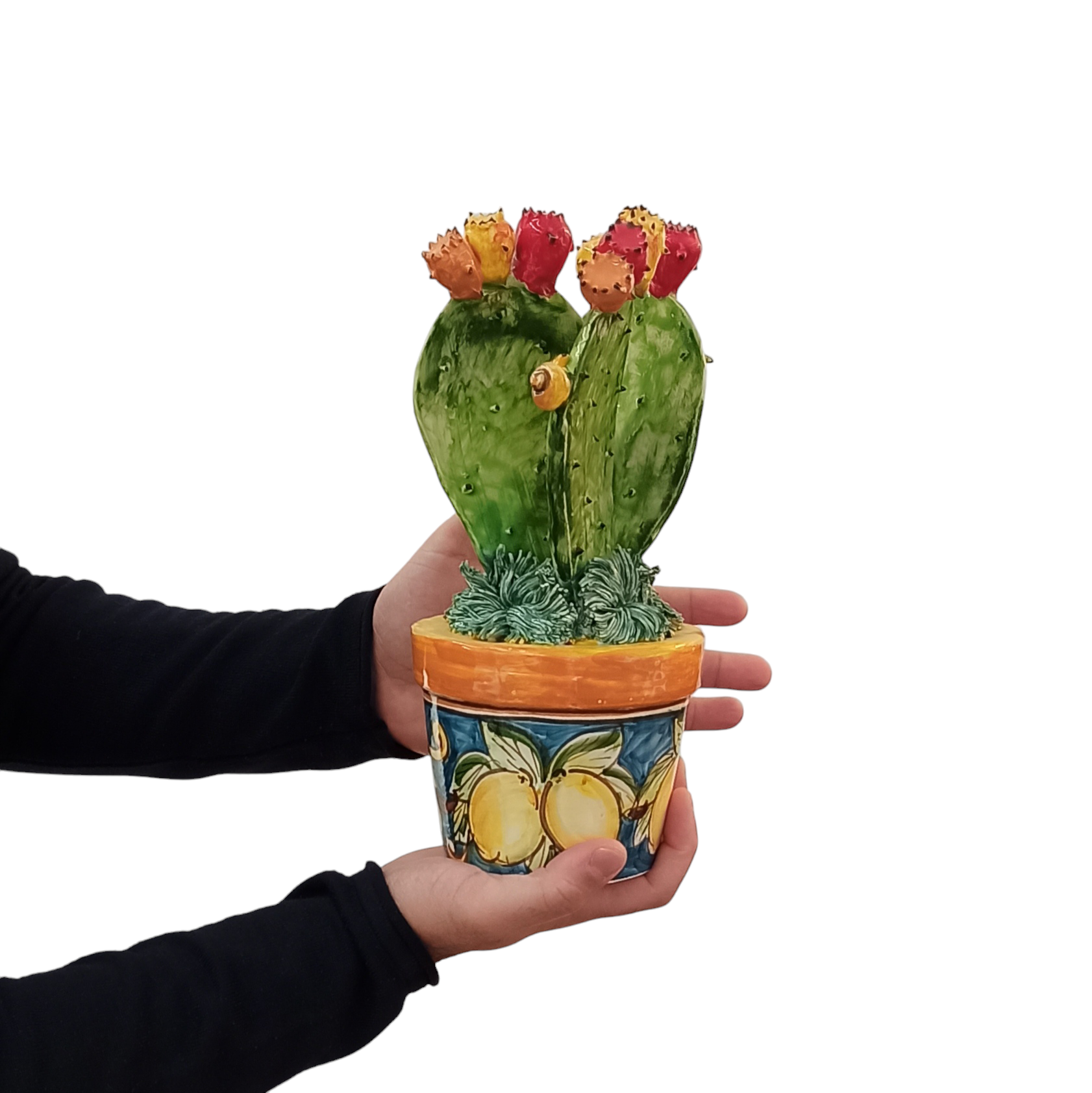 pianta di cactus in ceramica siciliana di Caltagirone