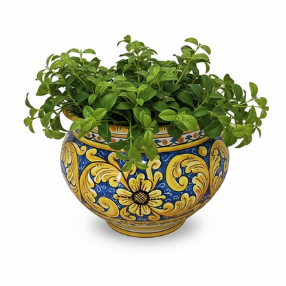 Portapiante in ceramica di Caltagirone 