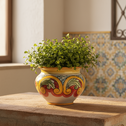 Sottovaso piante decoro Caltagirone 