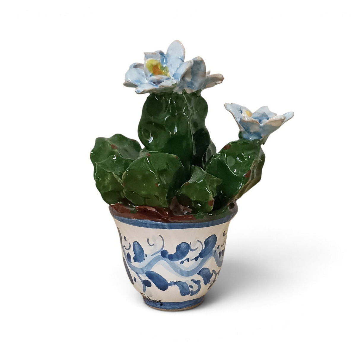 cactus in ceramica
