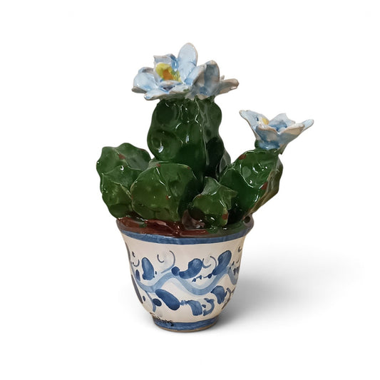 cactus in ceramica