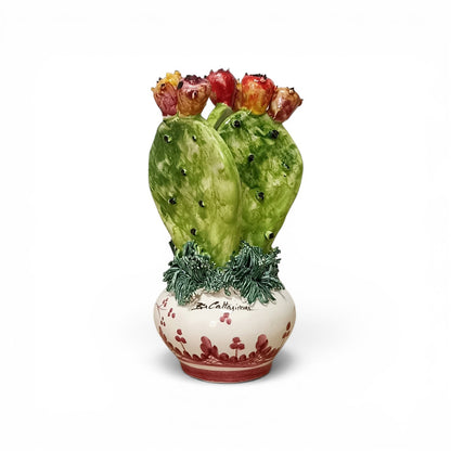 cactus planter in sicilian majolica