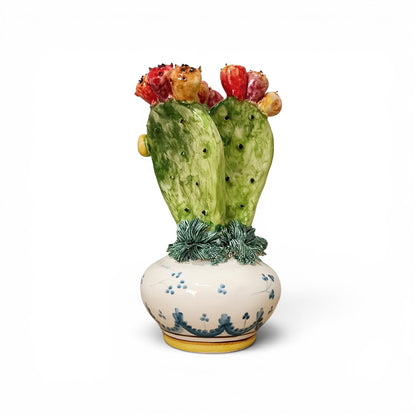 opuntia caltagirone