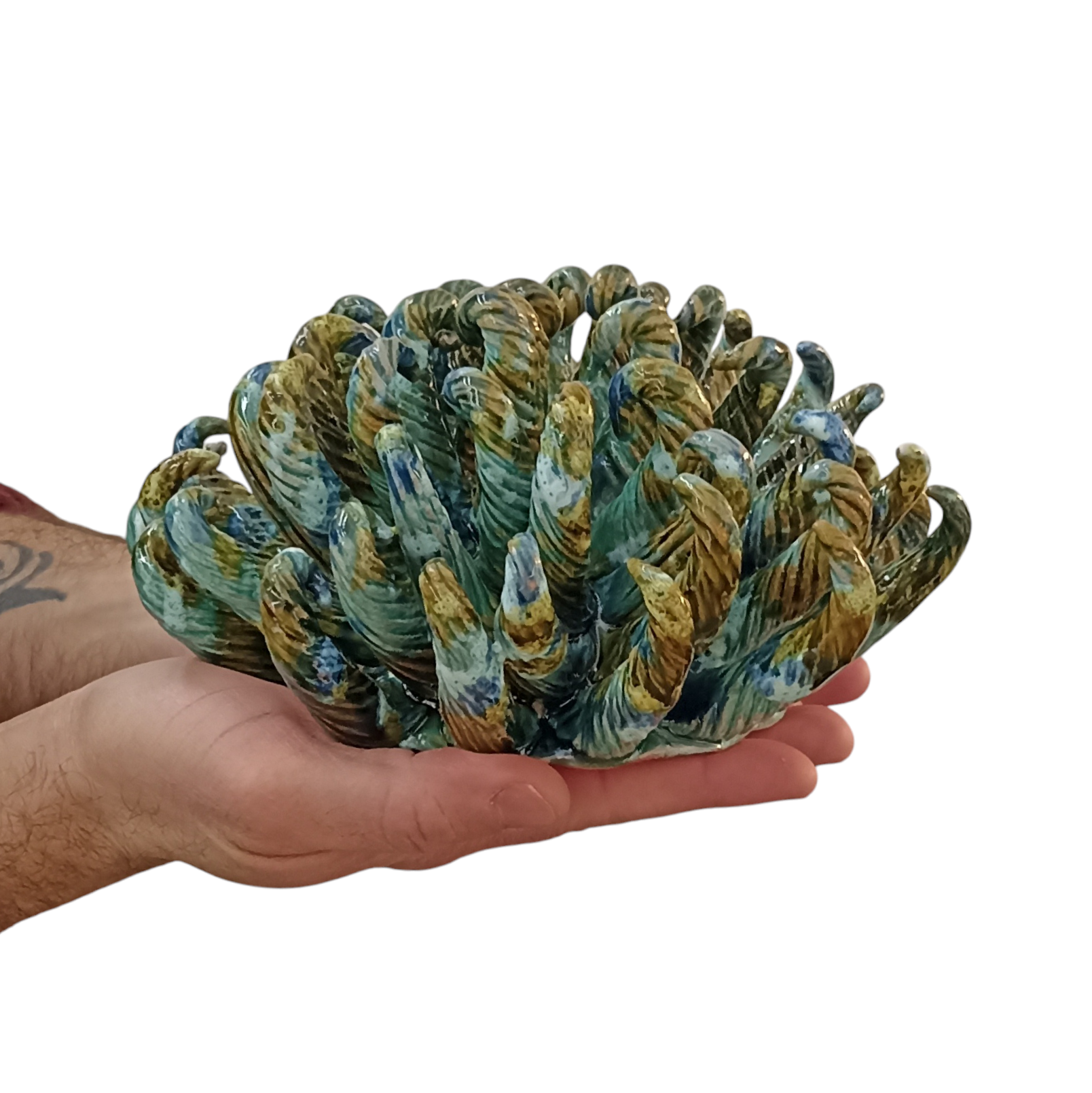Anemone in ceramica shop online