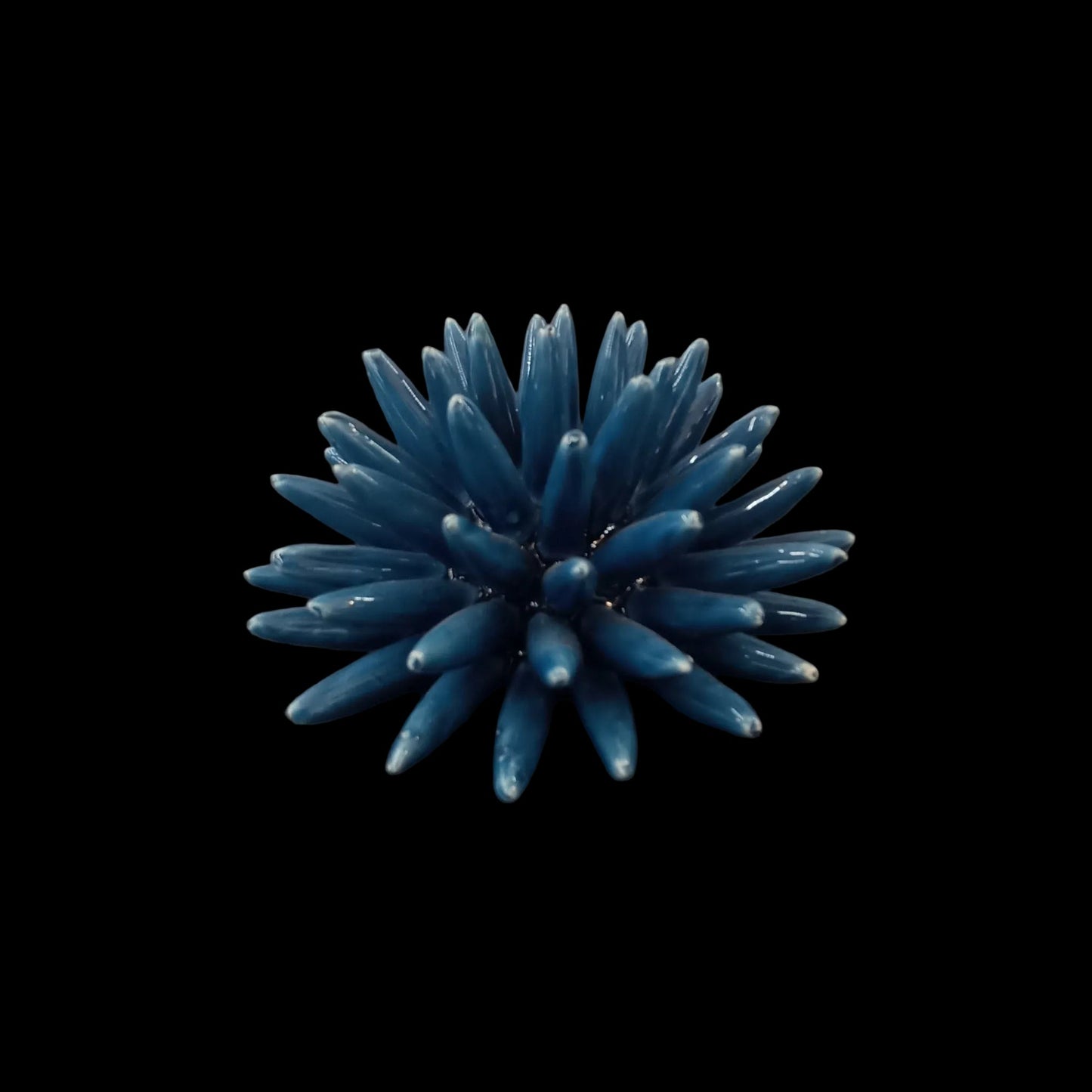 riccio di mare come bomboniera