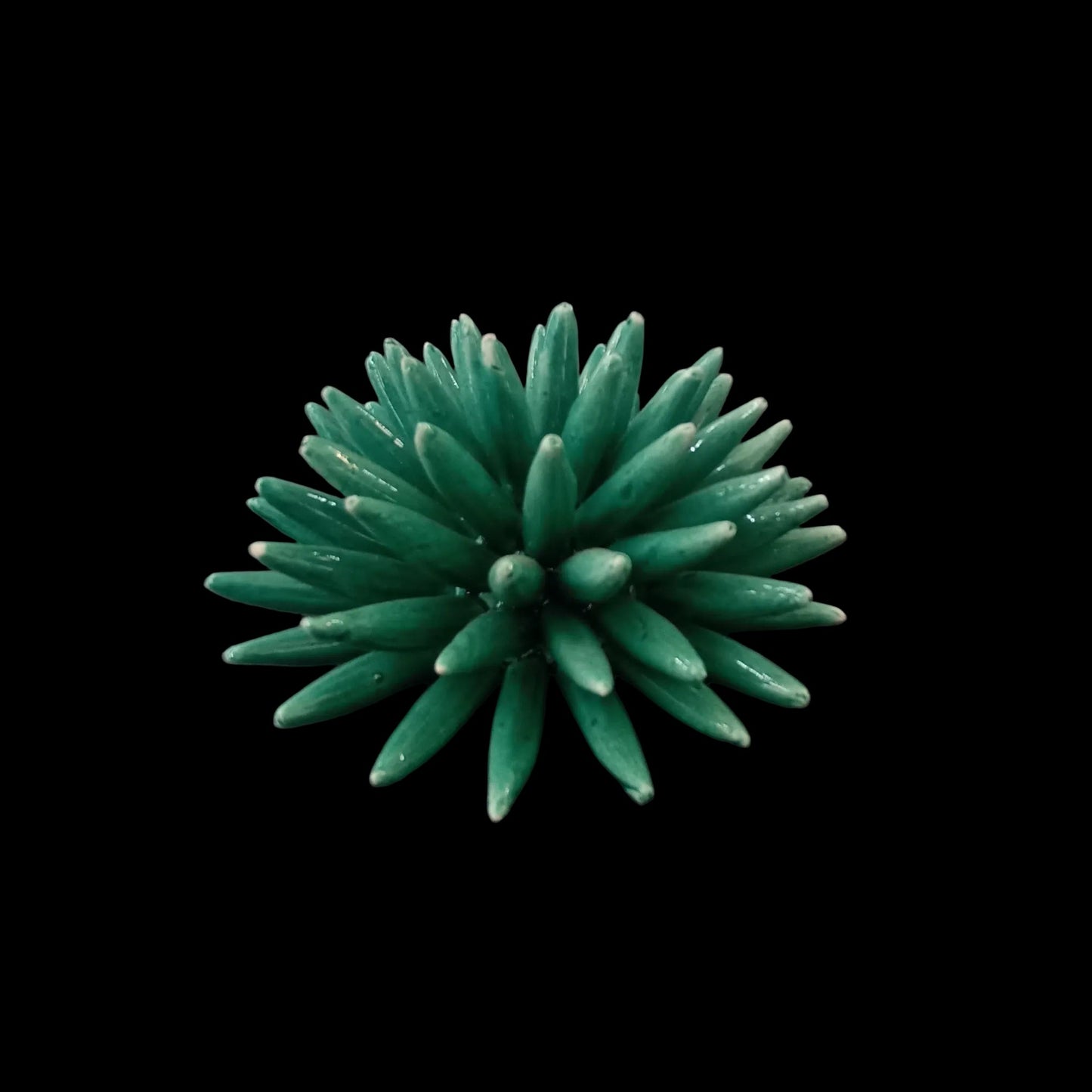 ricci di mare in maiolica fratantoni