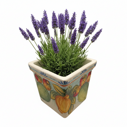 vaso in maiolica siciliana per piantine