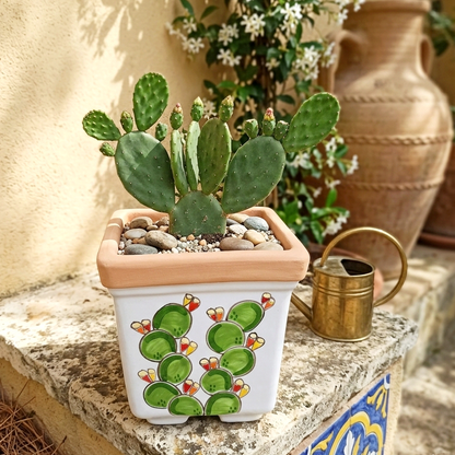 vaso siciliano per piante